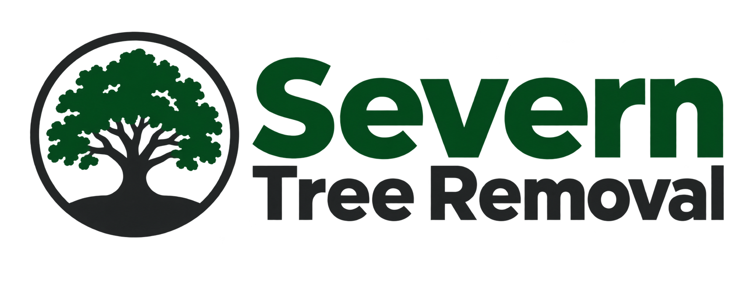 Severn Tree Removal